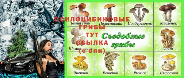 прущие крисы Алексин