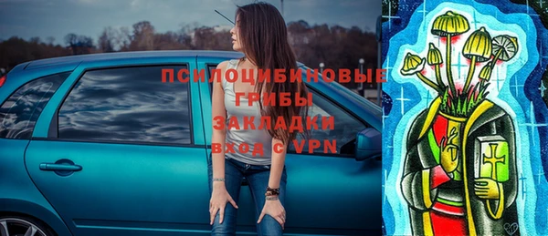 трава Абдулино