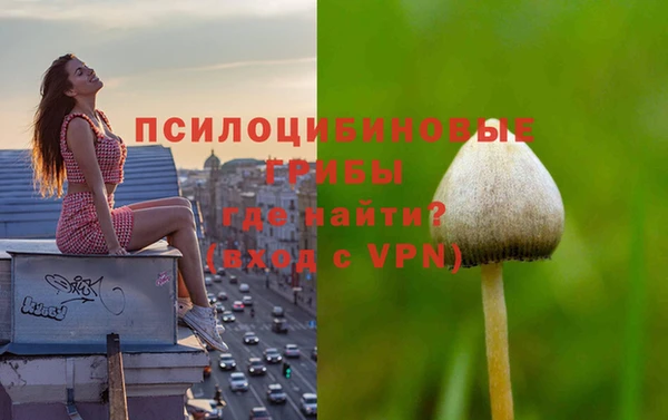 трава Абдулино